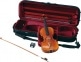 V20SG VIOLON 4/4