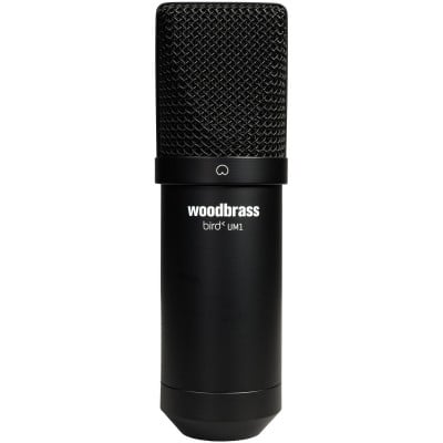 Microphones de Studio