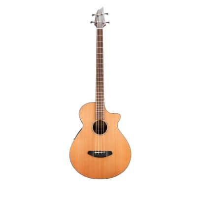 BREEDLOVE SOLO BASS CW LR BAGGS - OCCASION