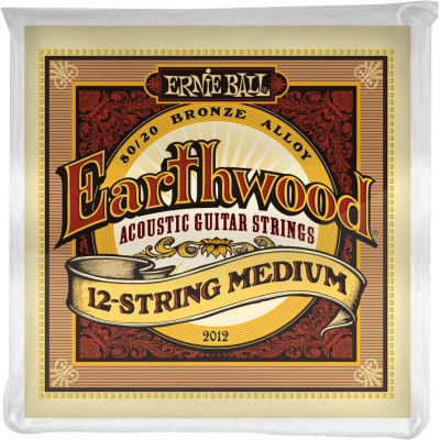 Ernie Ball Earthwood Acoustique 12 Cordes Medium 11-11/52-28 2012