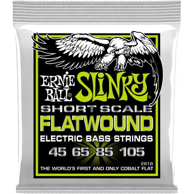 ERNIE BALL 2818 FILET PLAT REGULAR SLINKY FLATWOUND SHORT SCALE 45-105