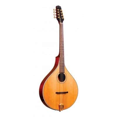 GOLD TONE OM-800+ OCTAVE MANDOLIN+CASE