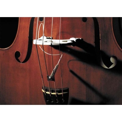 FULL CIRCLE UPRIGHT BASS PICKUP