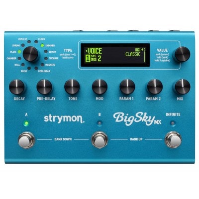 BIG SKY MX DUAL REVERB MIDI