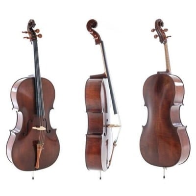 Violoncelles 4/4