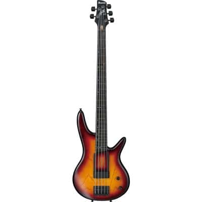 Basses fretless