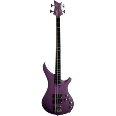 PASSION STANDARD HOLLOW - CLEAR PURPLE PW,CHROME