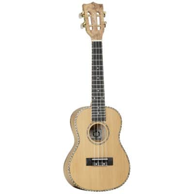 TANGLEWOOD TWT 11