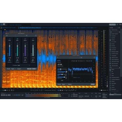 IZOTOPE RX 11 STANDARD UPG RX ST/ADV/PPS