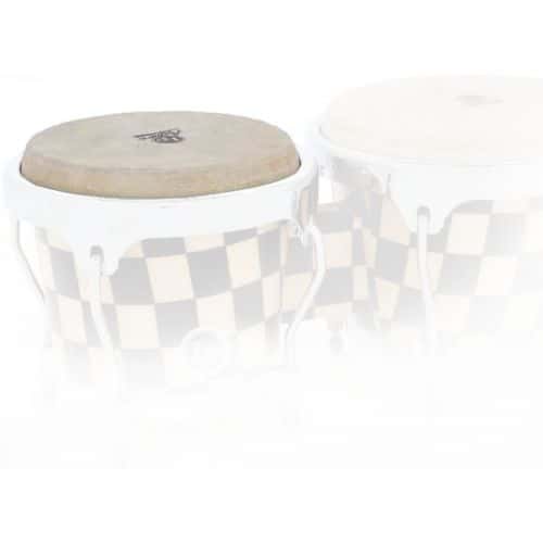 Lp Latin Percussion Lp Aspire 6