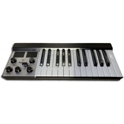 MELLOTRON MICRO NOIR