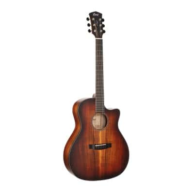 GUITARE CORE-GA BLACKWOOD L. BURST