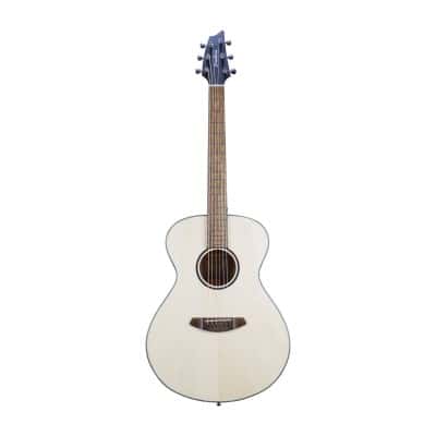 BREEDLOVE DISCOVERY S CONCERT