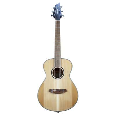 BREEDLOVE DISCOVERY S COMPANION