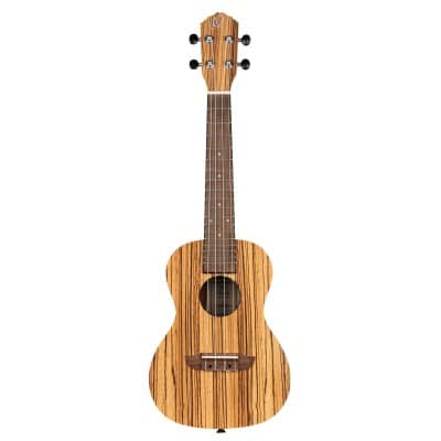 ORTEGA CONCERT RFU11Z ZEBRAWOOD NATURAL