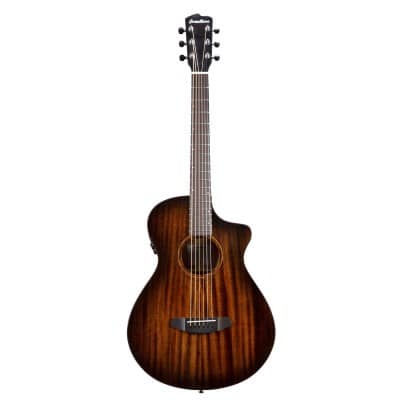 BREEDLOVE WILDWOOD PRO CONCERTINA CE