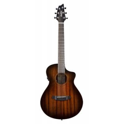 BREEDLOVE WILDWOOD PRO COMPANION CE