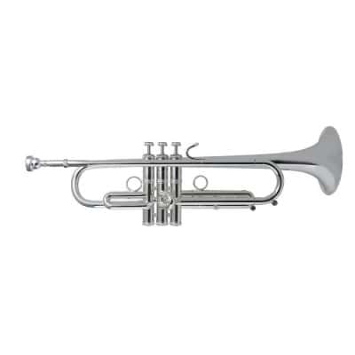 LT190S-1B STRADIVARIUS - SIB ARGENTEE + PAV. BRONZE (LIGHT)