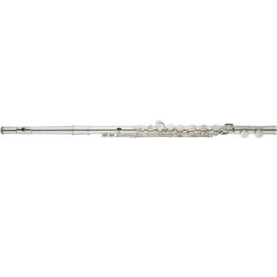 ALTUS ALTO FLUTE WITH STRAIGHT HEAD AND CURVED HEAD IN C AS821E