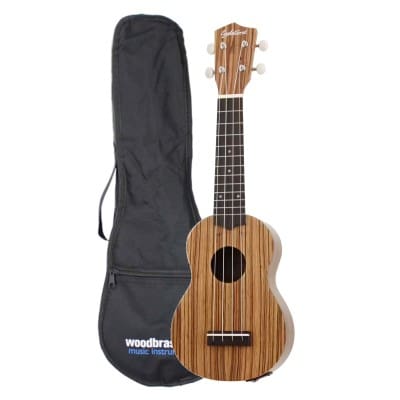 PACK COCONUT S20 EQ SOPRANO + COVER