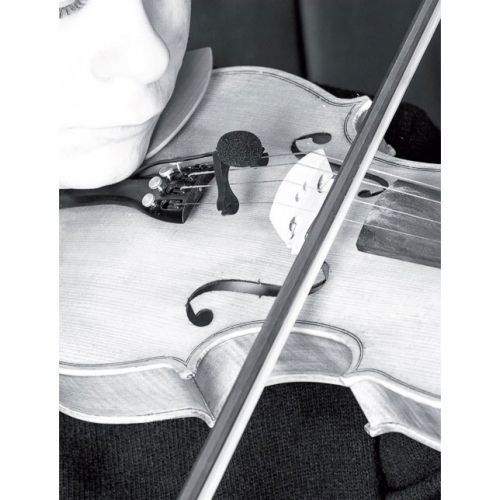 VL21 LANEN VIOLIN - ALTO