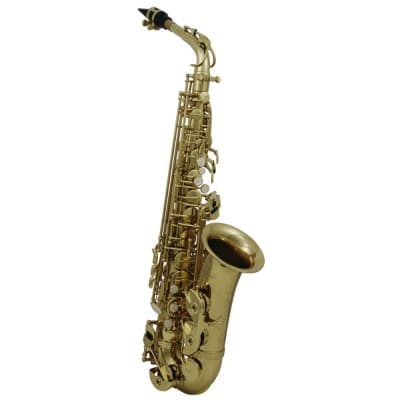 ROY BENSON SAXOPHONE ALTO ETUDE - VERNI (AS-202) 