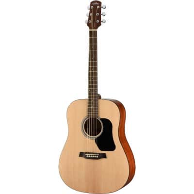 WALDEN DREADNOUGHT D350W