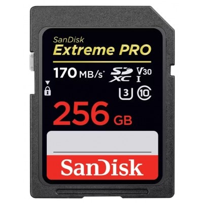 EXTREME PRO 256 GB