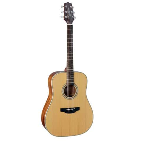 TAKAMINE GD20-NS NATURAL SATIN