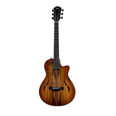 TAYLOR GUITARS T5Z CLASSIC SASSAFRAS 