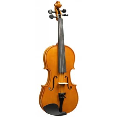 Violino 1/4 - 1/8 - 1/16