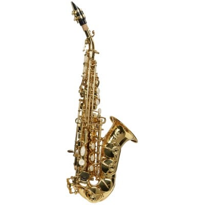 WOODBRASS WSSC300 - SOPRANO COURBE SIB VERNI