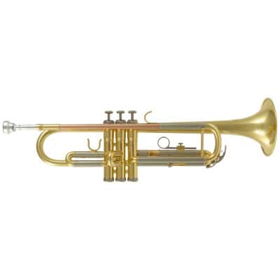 WOODBRASS WTP200