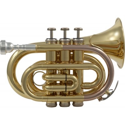 WOODBRASS WTP200P - SIB VERNI