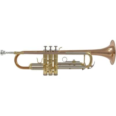 WOODBRASS WTP400 - BB (PINK BRASS BELL)