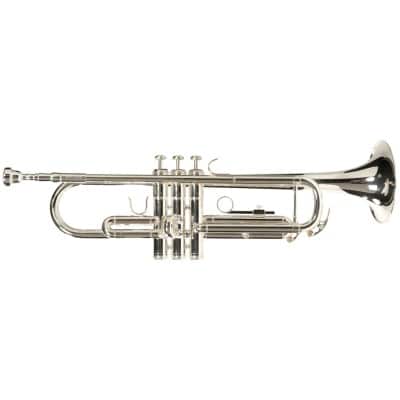 WOODBRASS WTP400S - SIB ARGENTÉE