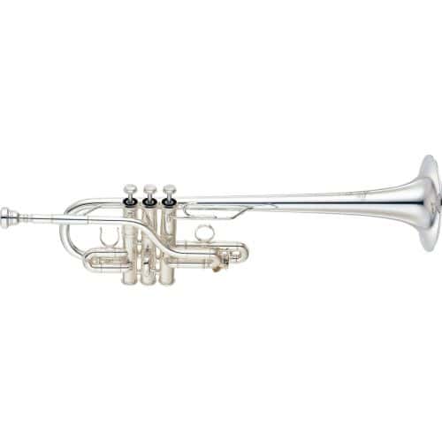 Other trumpets