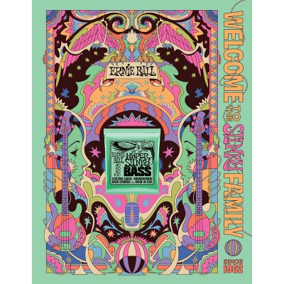 POSTER ERNIE BALL SLINKY 2022 FORMAT A0 HYPER BASS