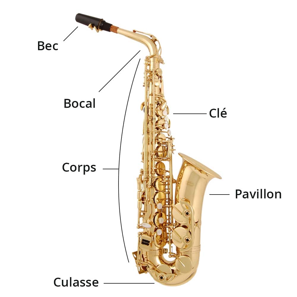 Comment bien choisir son saxophone pour débuter ? Le guide