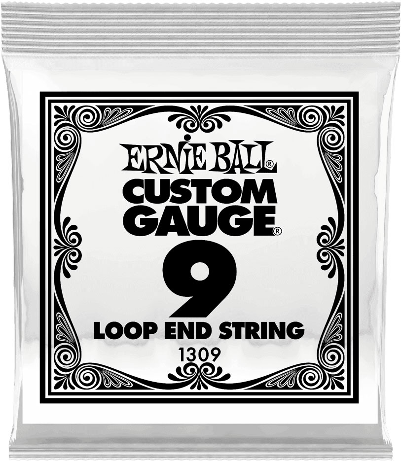 ERNIE BALL STAINLESS STEEL 09