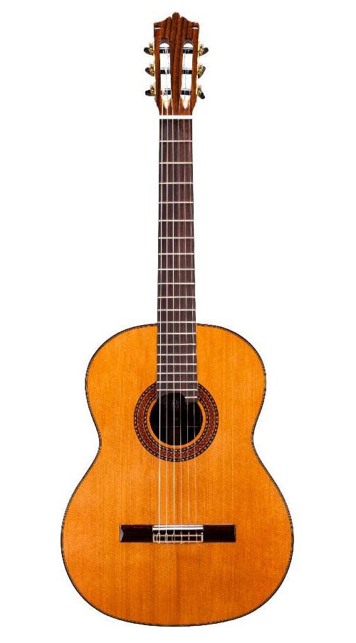 MARTINEZ GUITARS STANDARD MC-88C RN