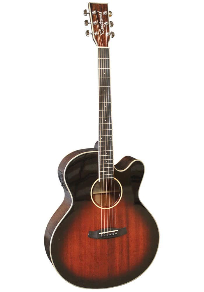 TANGLEWOOD WINTERLEAF TW4SJAVB CN