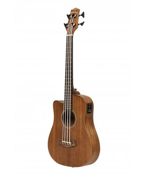 Basse Acoustique Électrique Microbass