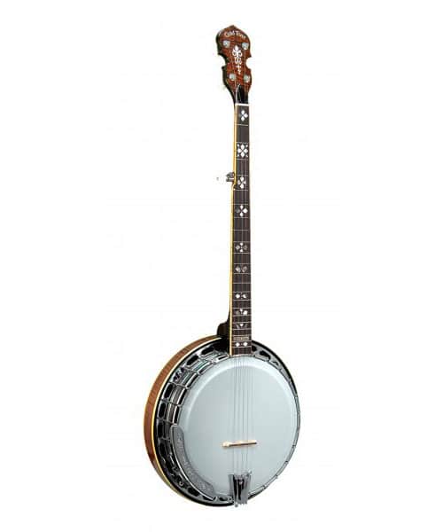 GOLD TONE BANJO ORANGE BLOSSOM 5 CORDES AVEC CERCLE DE RSONANCE ARCHTOP ET TUI RIGIDE