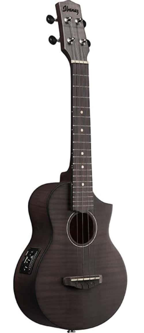 IBANEZ UEW12E BLACK ICE FLAT