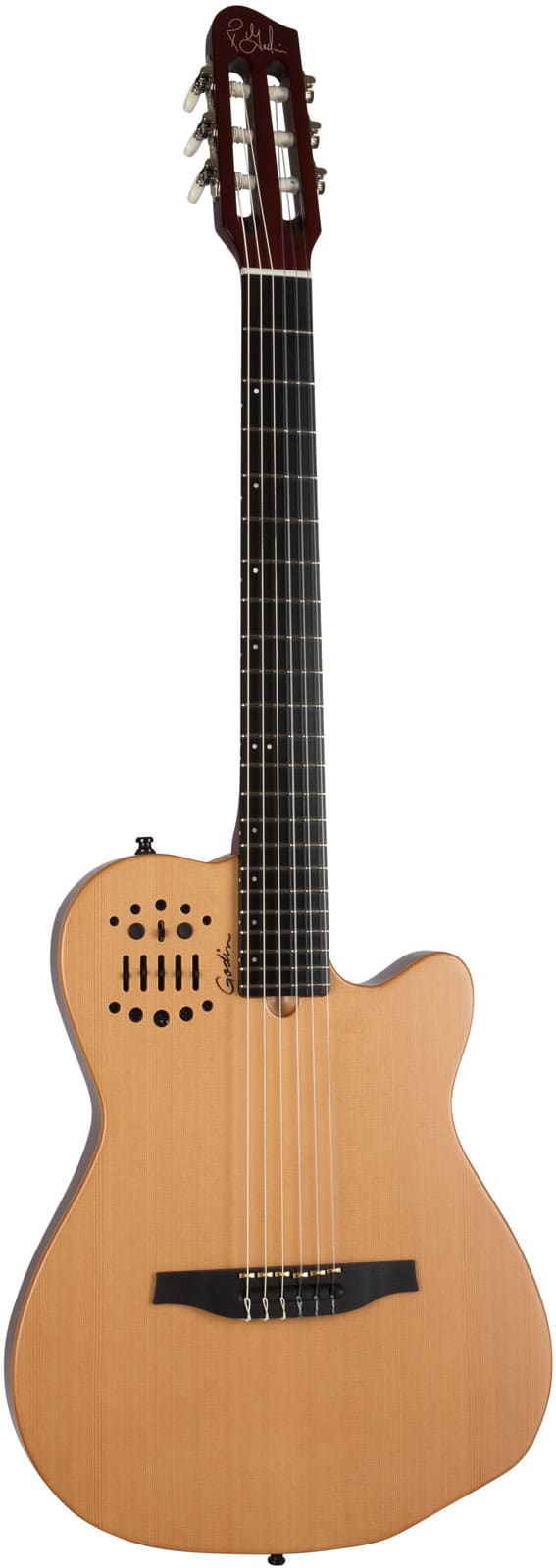 GODIN ACS NYLON SA NATUREL SG AVEC HOUSSE