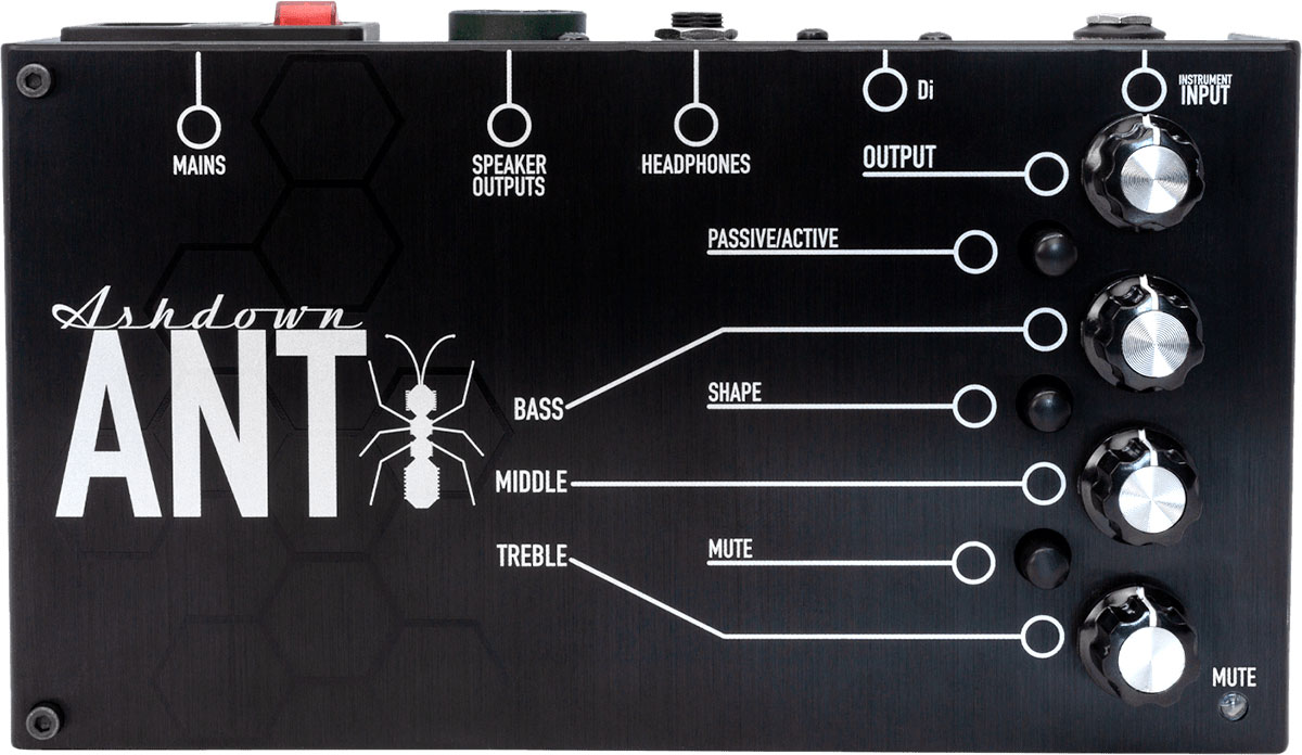 ASHDOWN THE ANT