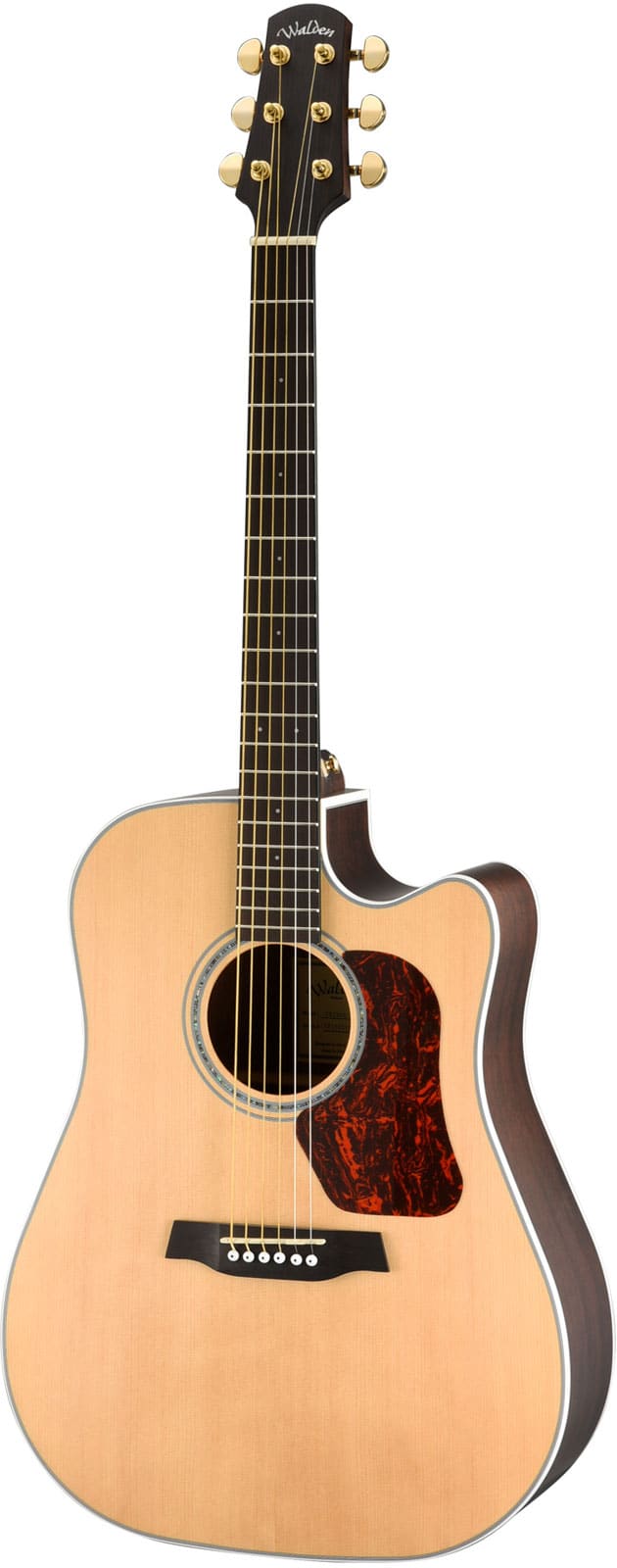 WALDEN GUITARE WALDEN DREADNOUGHT D603CEW