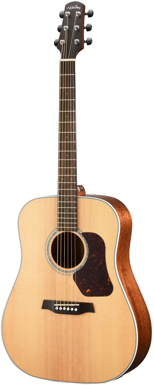 WALDEN DREADNOUGHT D740EW