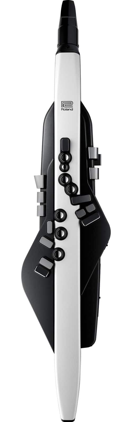 ROLAND AEROPHONE AE-20